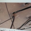 기라성두피&스킨바디 이미지