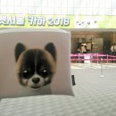 쪼식이 | 펫서울 카하 2018 후기