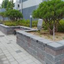 춘천 L-타워 이미지