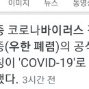 Re: 신종 코로나 바이러스 우한 폐렴 명칭이 covid19로 이미지