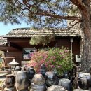 소양강닭갈비막국수 | 춘천 소양강댐 근처 닭갈비 맛집 항아리춘천닭갈비막국수 내돈내산 솔직후기