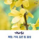 봄에 피는 꽃 _ 봄꽃 종류와 꽃말 알아보아요. 이미지