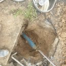 꼭지식당 이미지