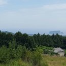 하원동-2 이미지