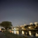 투게더영어회화 | LST 영어회화 한달 찐 후기(MT,투게더)