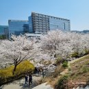 금토천 티스토리
