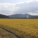 진옥농장 이미지