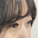 단아래쉬(DAHNA LASH) | [군자 속눈썹연장] 1:1 맞춤 퍼스널 디자인 연장 “단아래쉬”