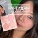 데이지크 블러셔 블렌딩 무드 치크 아몬드바닐라 봄웜소프트 후기