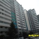 덕진-104 이미지