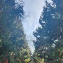 용수리머물다 이미지