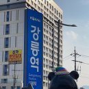 [여행] 강릉 당일치기 하고 온 후기