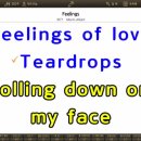 MR - Feelings/Morris Albert 이미지