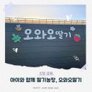 오풍농장 | 인천강화] 아이와 함께 실내 딸기농장체험, 오와오딸기
