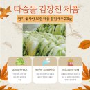 쌈지보령