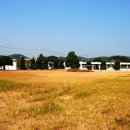 내동초등학교 이미지