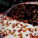 백작크리닝 이미지