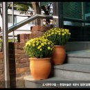 일원청소년독서실 이미지