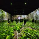 사랑채식당 이미지