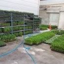 대풍종묘농약 이미지