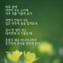 수하나 - 부산진구 전포대로186번길 18 | 수하나