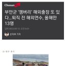 또 발견된 잼버리 세금여행 이미지