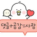 바미애견유치원 네이버블로그