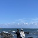 제주물회 이미지