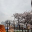 카페보노 - 순천시 남산로 37 | 카페보노