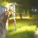 인천항보안공사 이미지