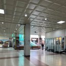 (주)영통현대모터스 | [수원] 영통 베이비하우스에서 줄즈 JOOLZ 허브2 유모차 내돈내산한 후기