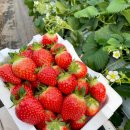 은찬농장 이미지