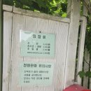 담양 죽화경 데이지 장미축제 다녀온 솔직후기