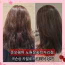 노원중학교 | 노원역 미용실 준오헤어 극손상 중단발 카필루스 클리닉 후기 가격 하이 디자이너