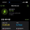 새벽공원 네이버블로그