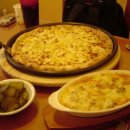 올리브스파피 이미지