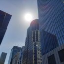 지엘트리 이미지