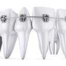 미바른이치과교정과치과의원 이미지