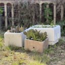 삼성아파트 이미지