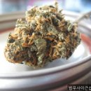 정도법무사사무소 | 개인회생법무사, 법무사이근섭사무소 진심으로 도움받은 후기