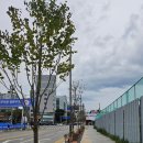 강원종묘사 이미지