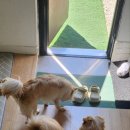 더히로 플레이그라운드 이미지