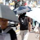 비고리조트 10 네이버블로그