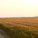 수빈농장 이미지