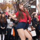 하니 Daum카페