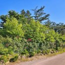 향수민박 이미지