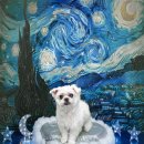 댕댕그루밍 이미지