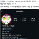 초아농원 Daum카페