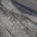 제주은갈치 이미지