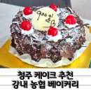 월곡초 | 청주 케이크 추천 강내 농협 베이커리 우리밀 100% 초코케이크 레터링 후기